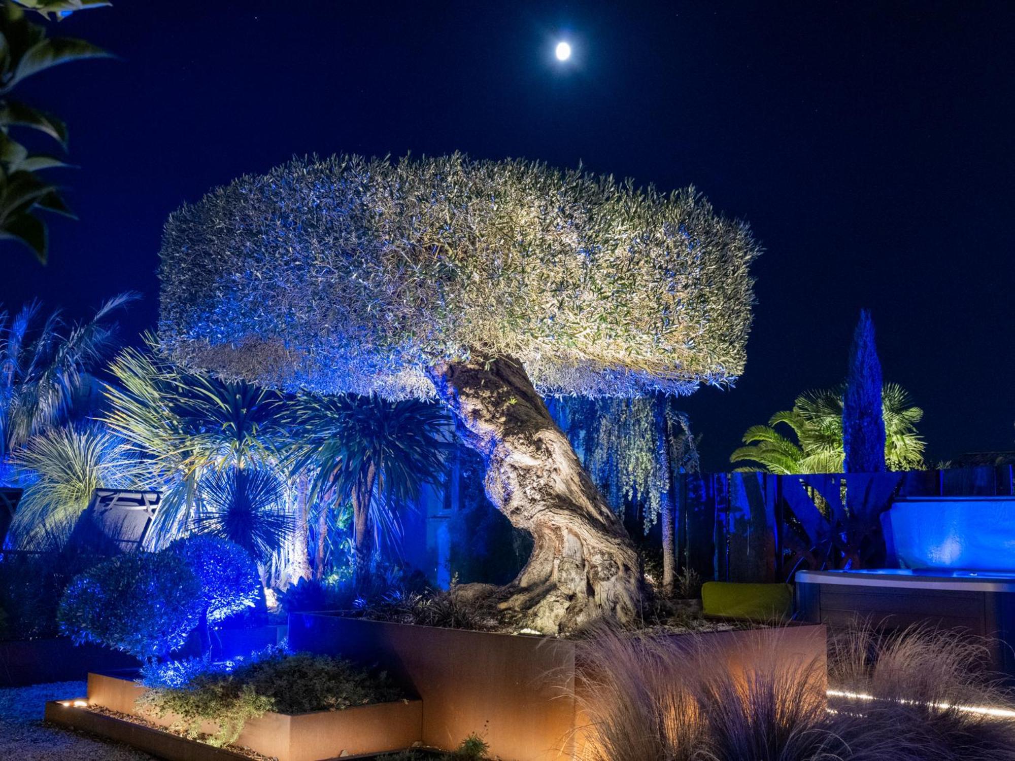 Villa Harmonie - Luxe, Jaccuzzi Et Piscine En Charente-Maritime Saint-Ciers-du-Taillon Bagian luar foto